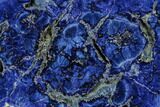 Vivid Blue, Cut & Polished Azurite Nodule - Siberia #190171-1